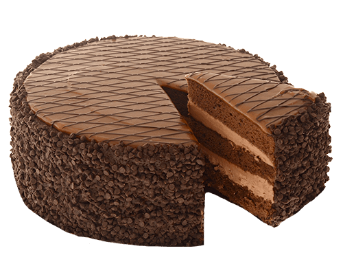 chocolate-cake-png-hd-chocolate-cake-png-500.png