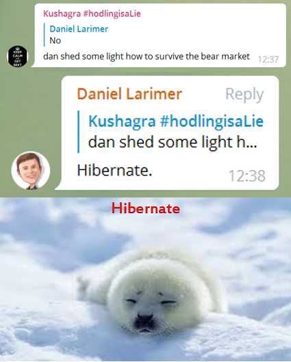 hibernate.png