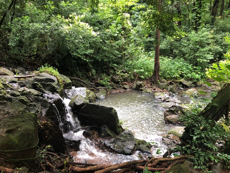 Judd trail waterfall.jpg