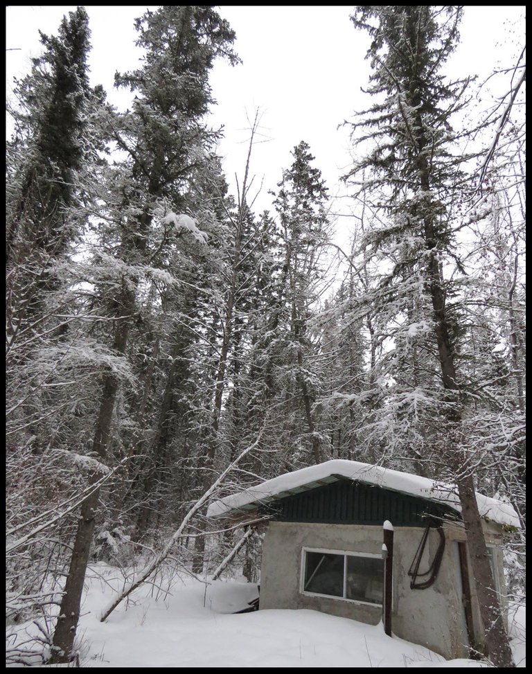 well house surrounded by snowy trees.JPG