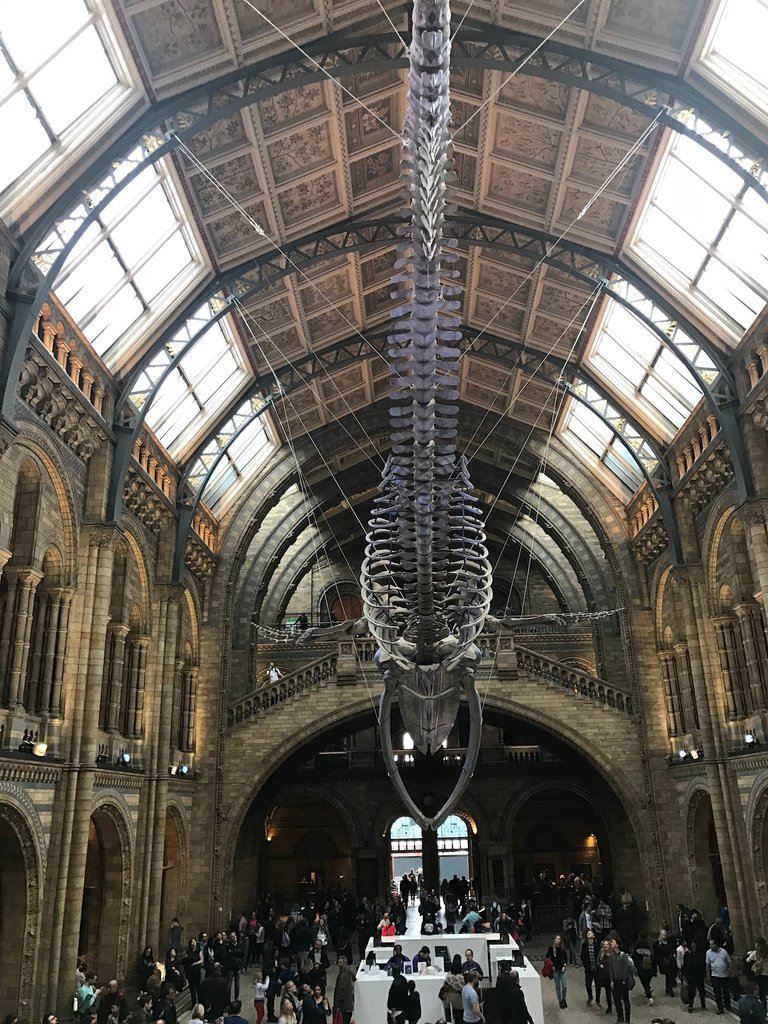 E45D0043-024E-4FA5-9688-72A84C437CE6.jpeg