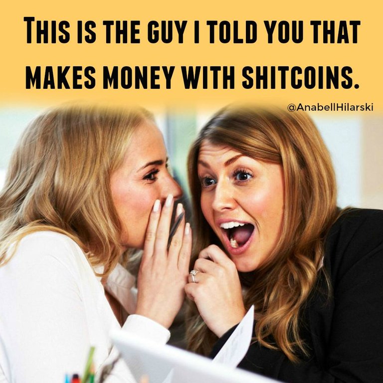 anabell-hilarski-shitcoins.jpg