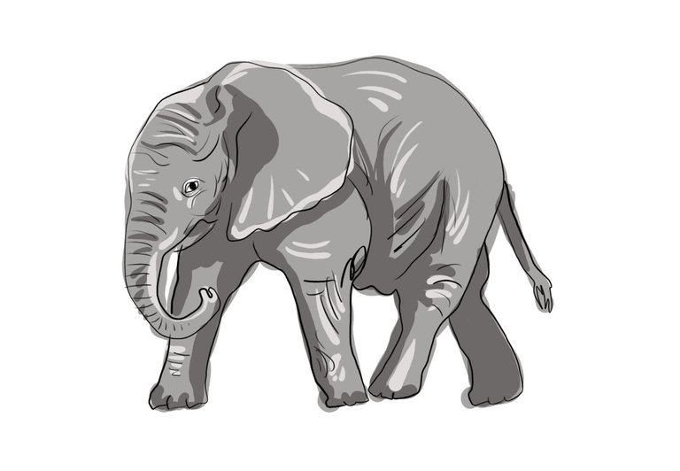 elephant (458).jpg