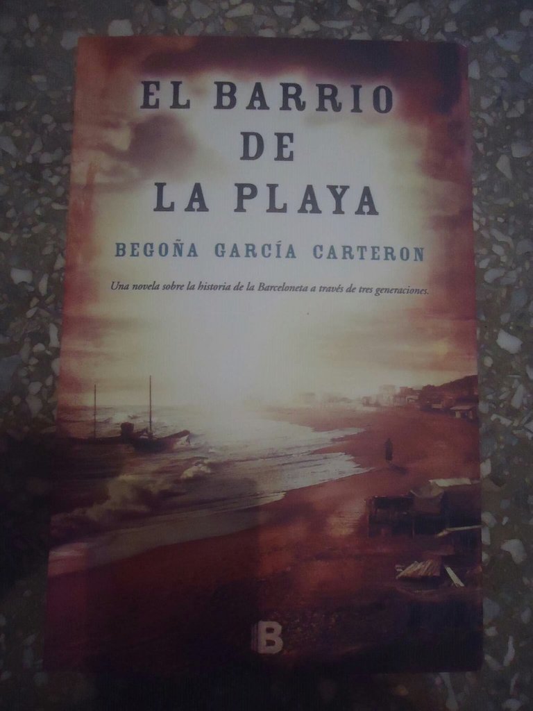 el-barrio-de-la-playa-begona-garcia-carteron-D_NQ_NP_885450-MLV27041099004_032018-F.jpg