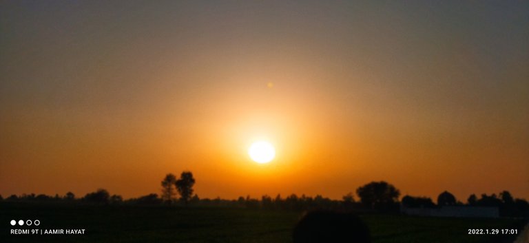 IMG_20220129_170151.jpg