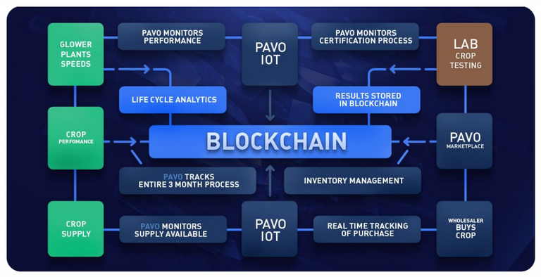 Pavo ecosystem.png