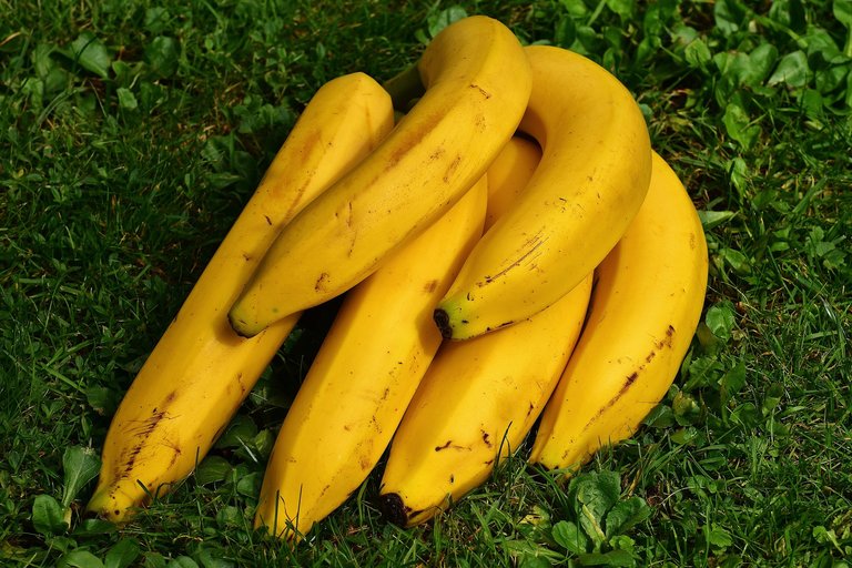 bananas-1642706_1920.jpg