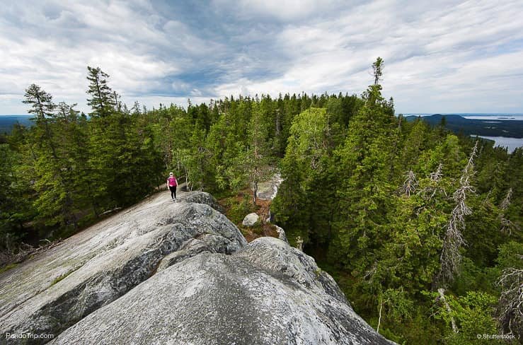 Koli-National-Park-Finland.jpg