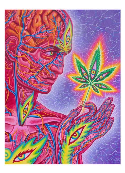 Feb 10 Alex Grey Weed.jpg