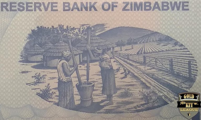 GK_CC_Indigo_Money_Zim_0.jpg