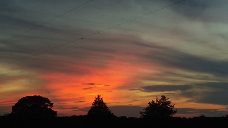 Texas_sky_sunset_cameraphone_1.jpg