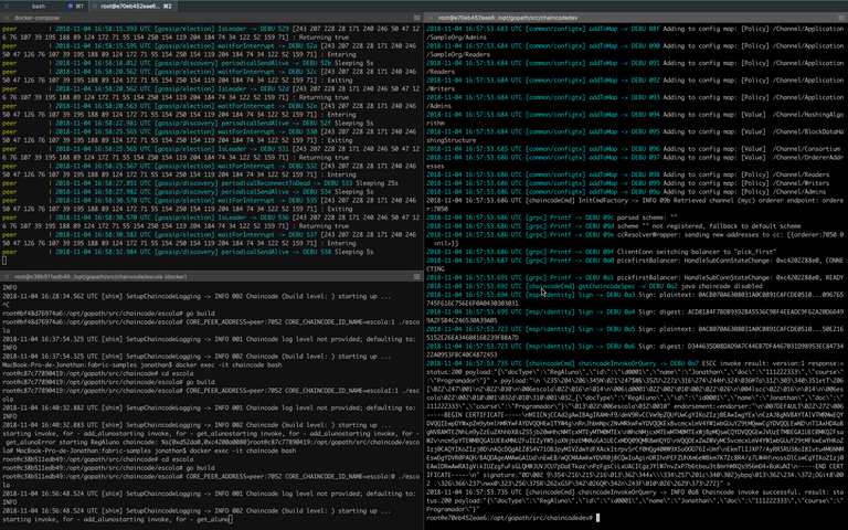 Terminal rodando nosso chaincode