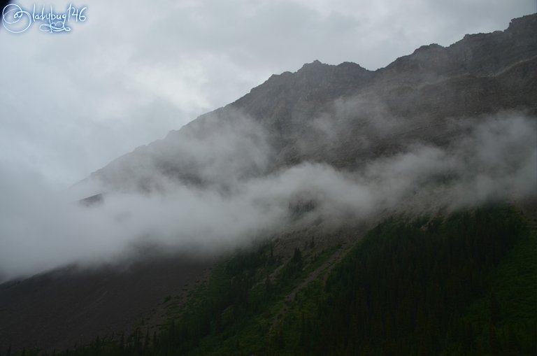 icefield parkway3.jpg