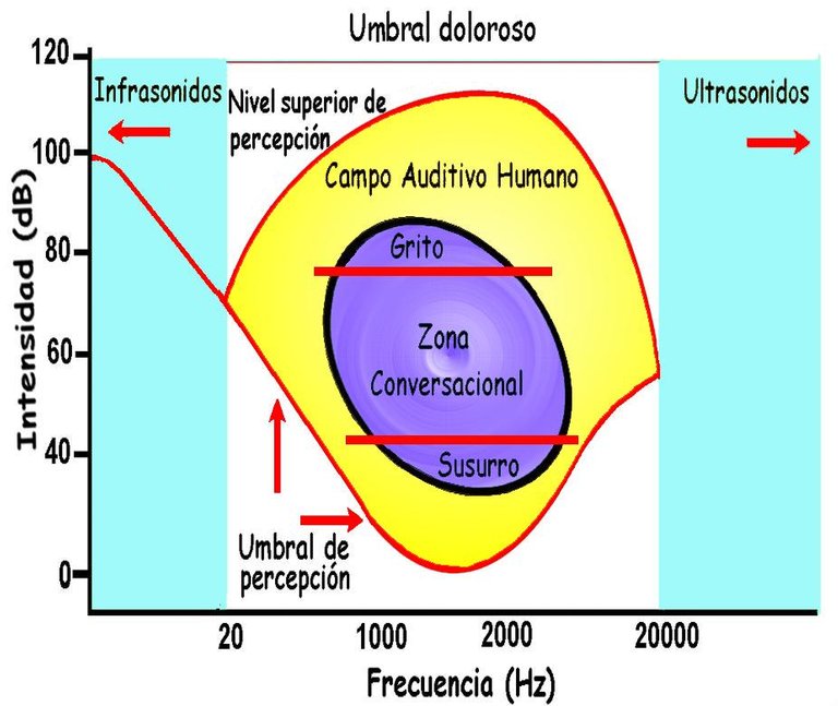 campo-auditivo-humano1.jpg