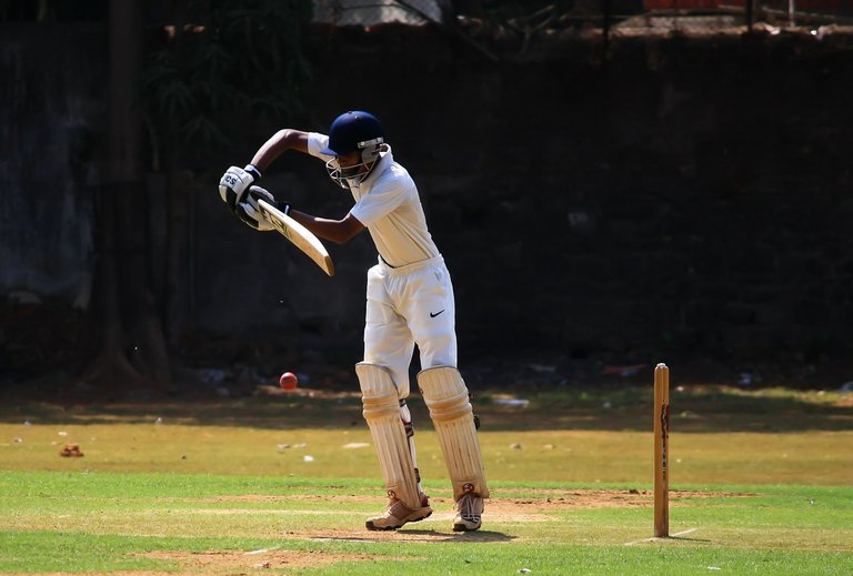 batsman-390552_1280.jpg