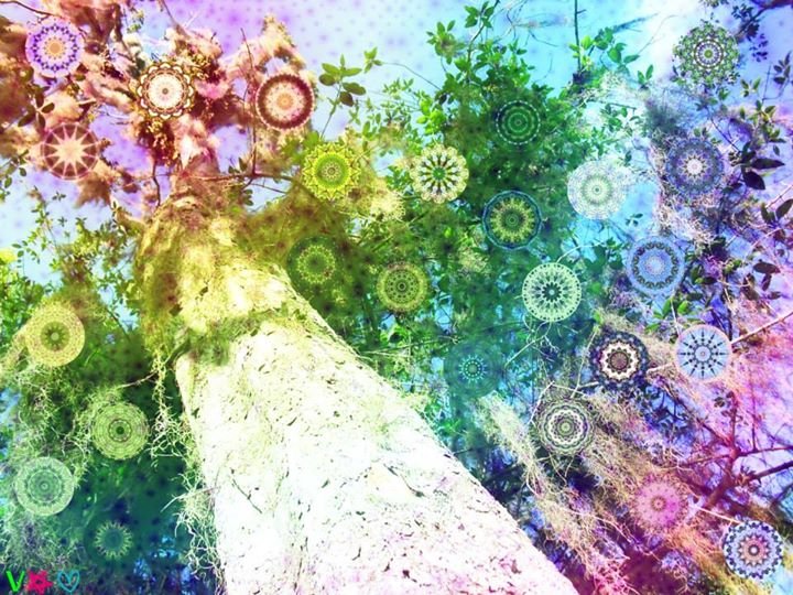 spirits of the forest.jpg