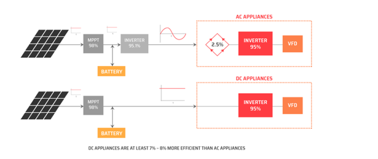 eloncity2.PNG