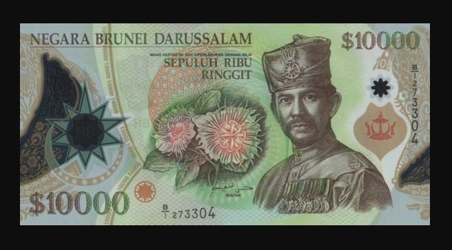 brunei dollar.JPG