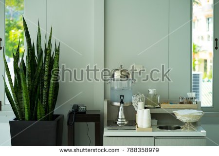 SANSE pixabaystock-photo-drinking-water-self-service-point-with-telephone-and-sansevieria-trifasciata-snake-plant-788358979.jpg