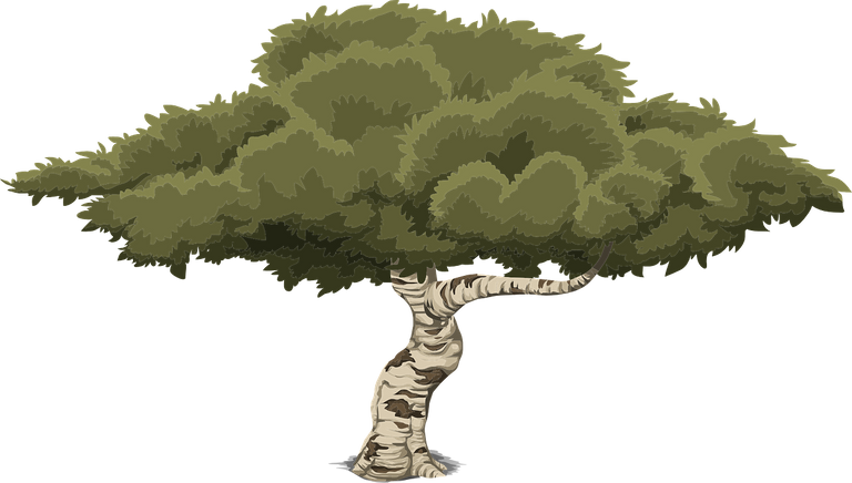 tree-576863_1280.png