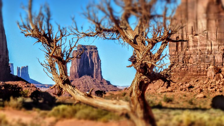 Monument Valley Navajo Nation (10).jpg