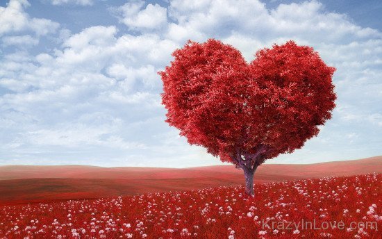 Beautiful-Heart-Shaped-Tree-550x344.jpg