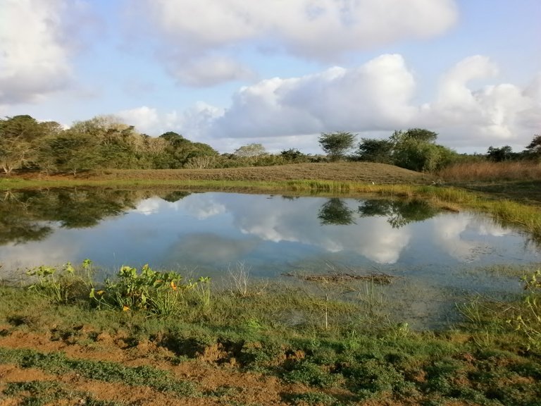 LAGUNA EN CAPADARE (1280x960).jpg