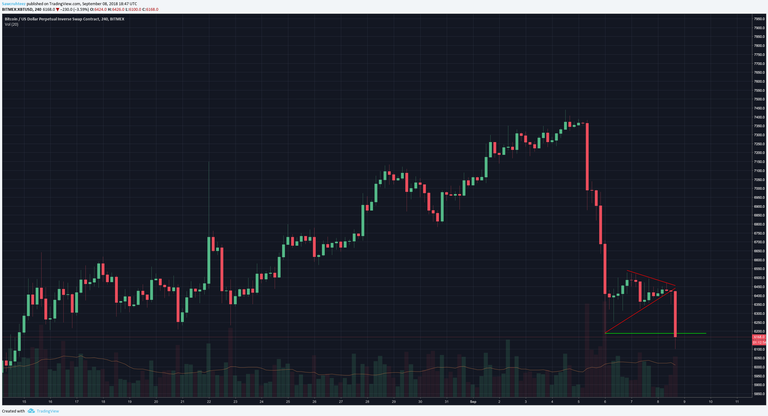 4h bear flag.png