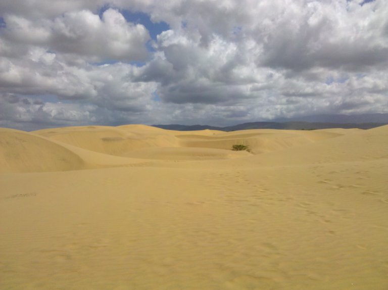 2013-12-29 16.42.59.jpg