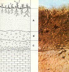 220px-Estructura-suelo.jpg