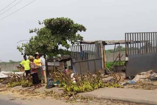 A Local Plantain Market.jpg