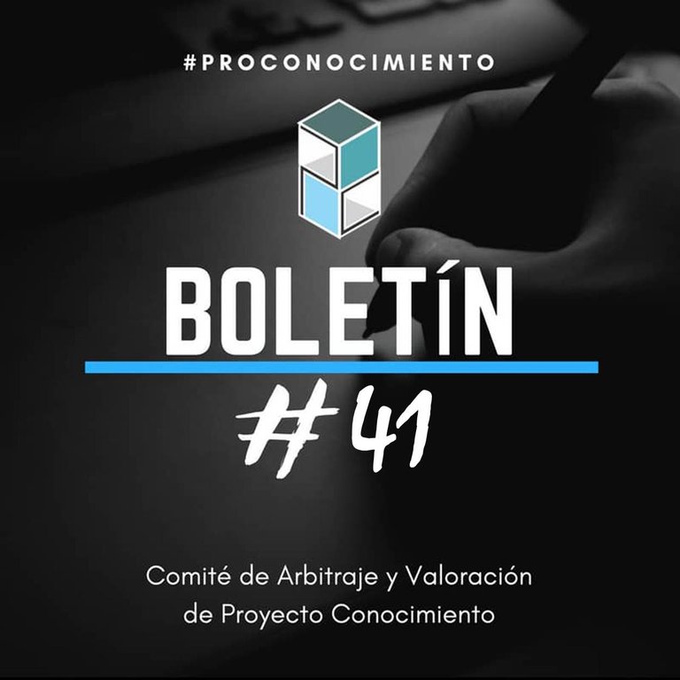 boletin 41.jpg