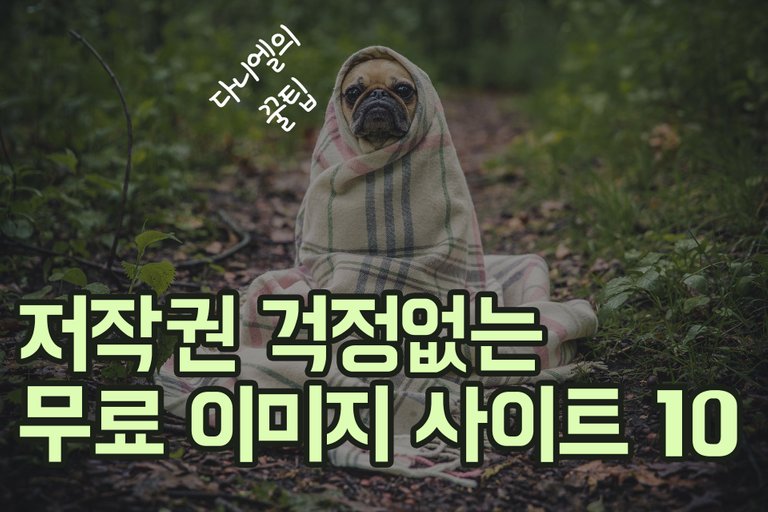 저작권_꿀팁.jpg