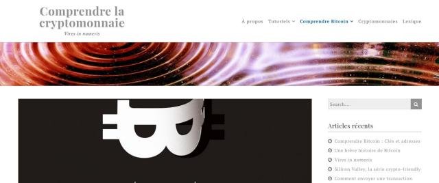 Comprendre la Cryptomonnaie : Vires in Numeris