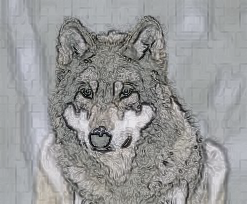 wolf.png