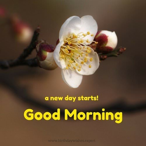 a-new-day-starts-500x500.jpg