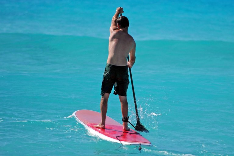 stand-up-paddle-1024x683.jpg