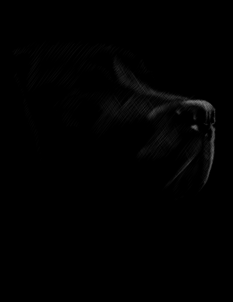oogy3.png