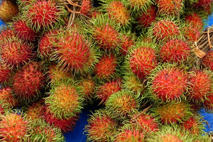 rambutans-2917960__480.jpg