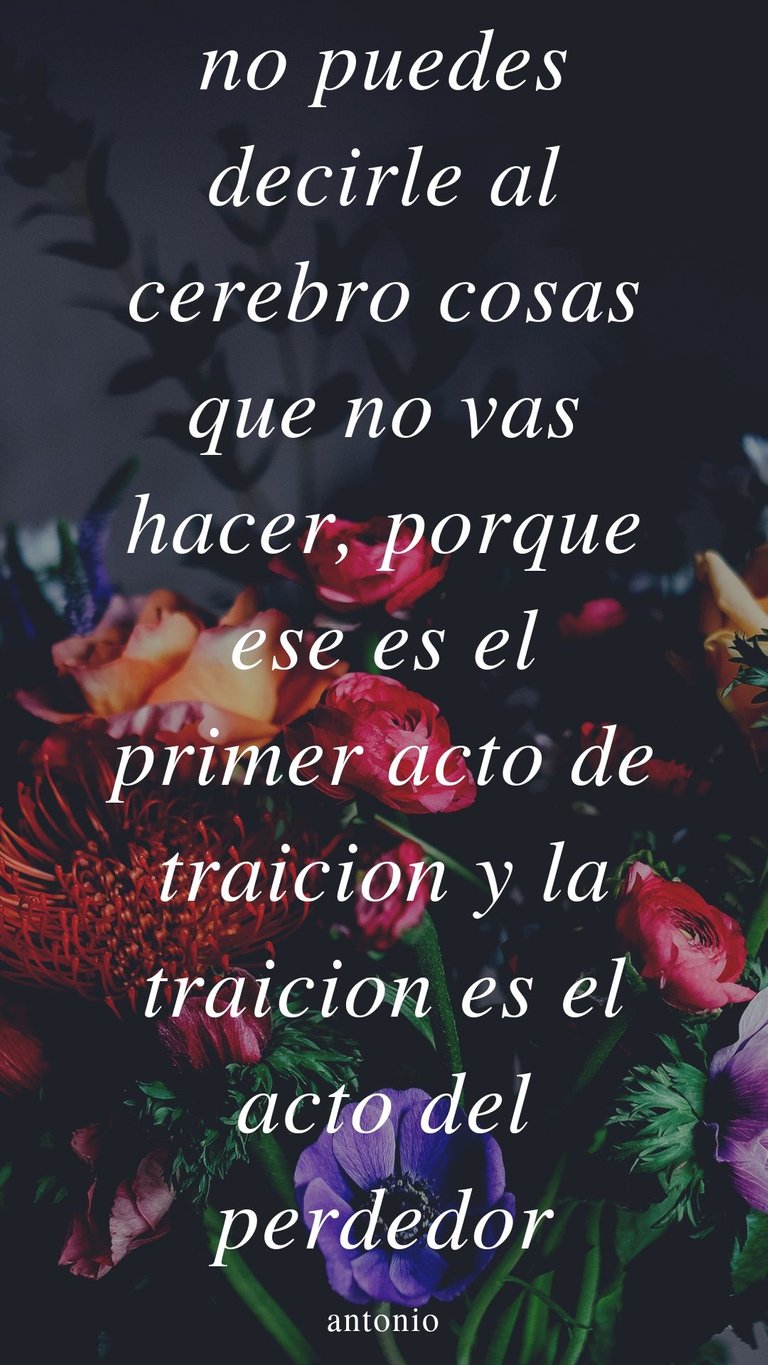 no puedes decirle al cerebro cosas que no vas hacer, porque ese es el primer acto de traicion y la traicion es el acto del perdedor.jpg