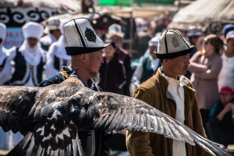 Bird of Prey hunters.jpg