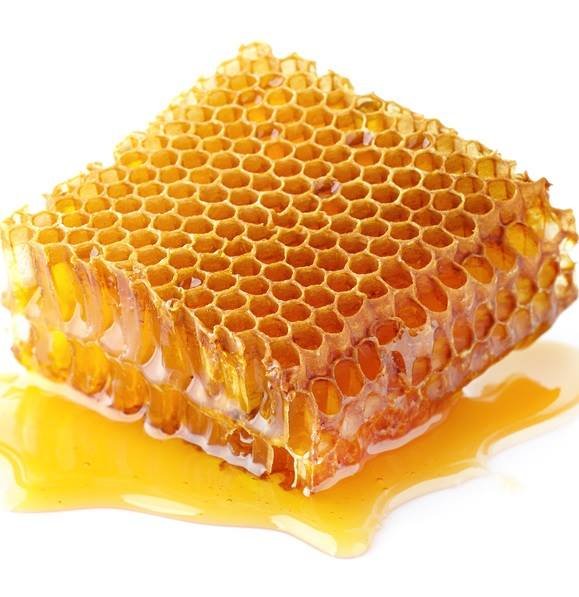 honey 2.jpg