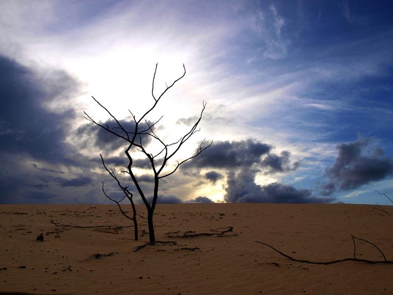 medanos de coro.jpg