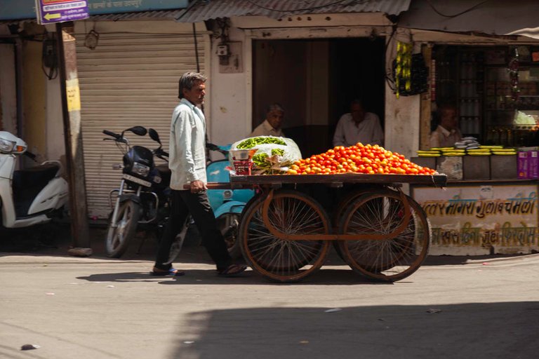 tomatoes.jpg