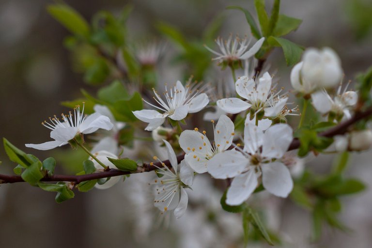 13334443853-springtime-in-the-middle-of-germany (FILEminimizer).jpg