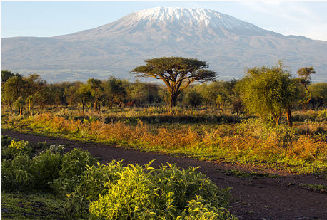 05_Mount Kilimanjaro.png