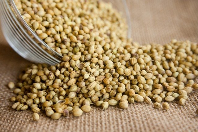 coriander-166990_640.jpg