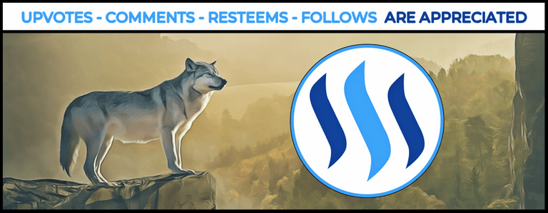 STEEMIT_BLOG_GRAPHICS_BANNER_40_M_COMPRESSED.png