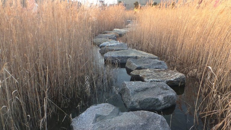 stepping stones.jpg