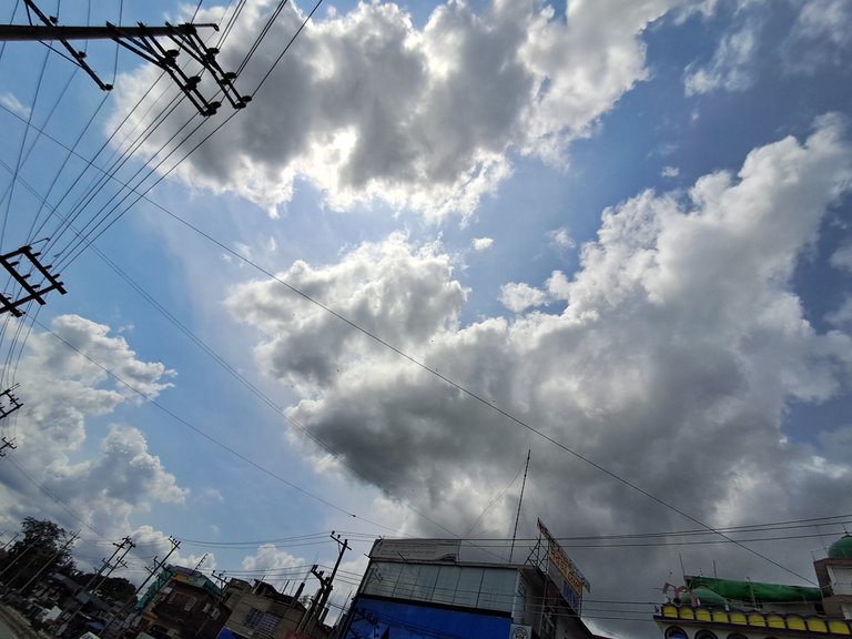 20250519_134837.jpg